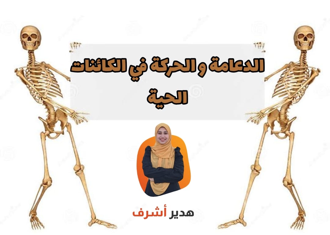 الدعامة و الحركة في الكائنات الحية